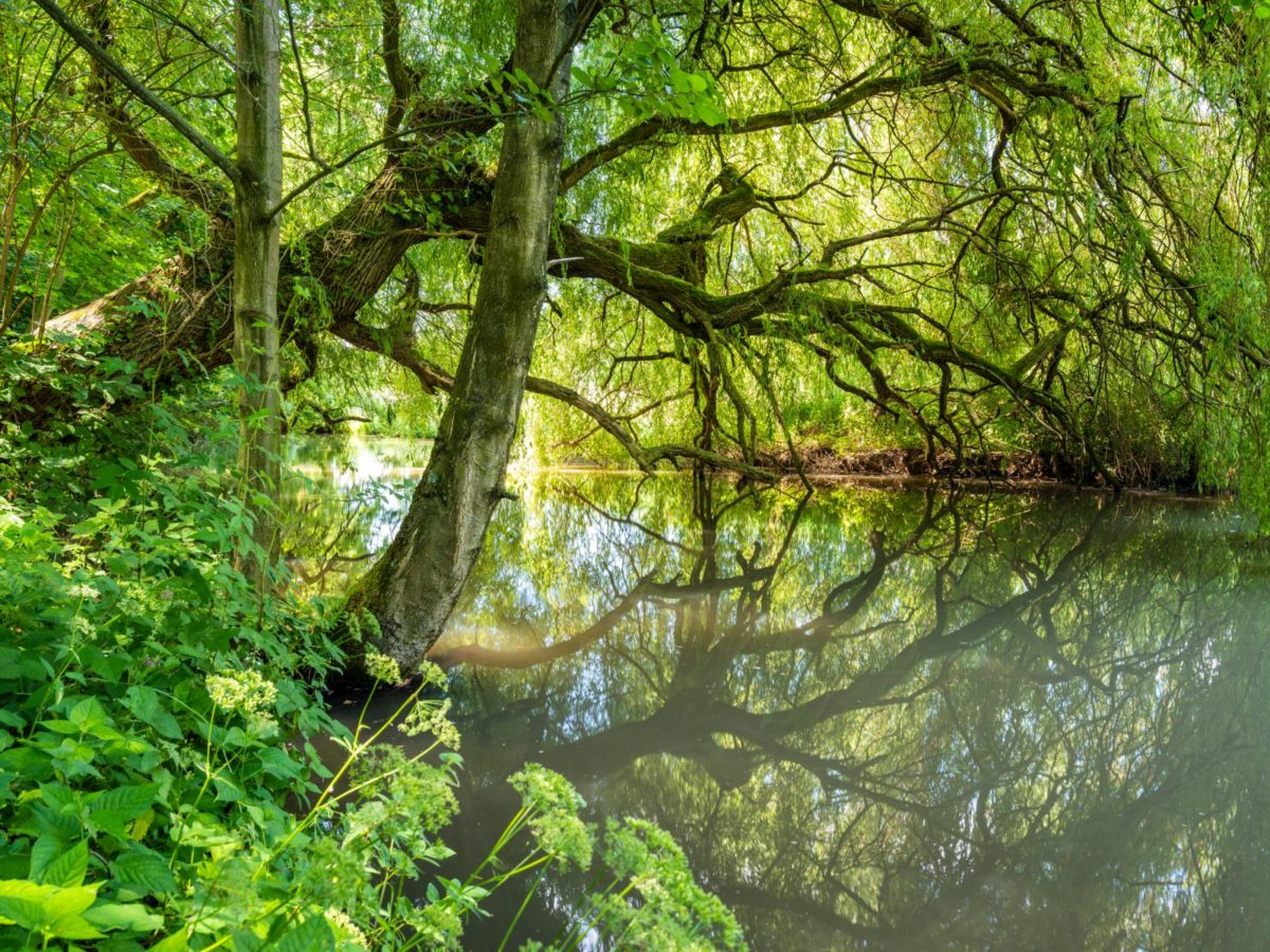 hemelbeek