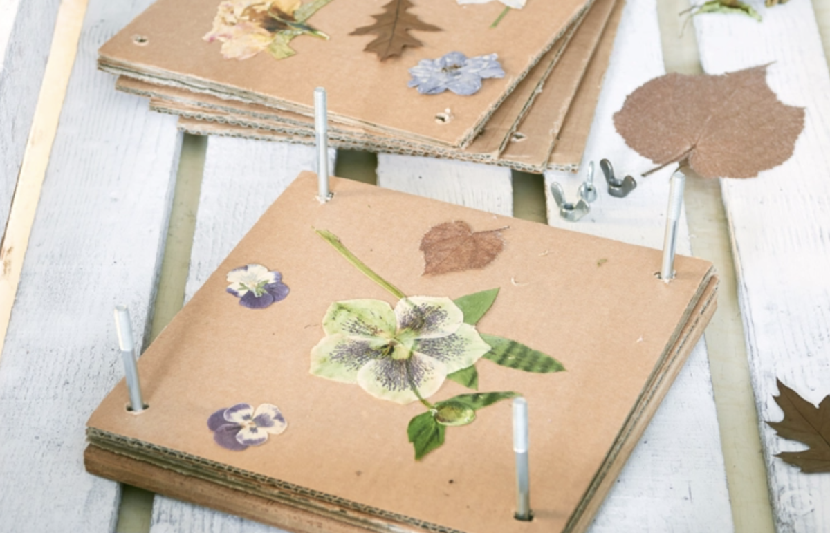 bloemen drogen