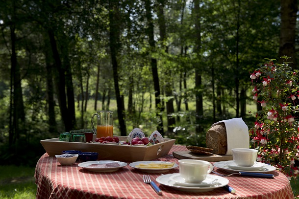 B&B De Gagel - Haaksbergen (14)