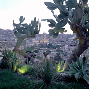 Casa talia uitzicht italië planten