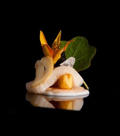 Coquille-St.-Jacques Coquille-St.-Jacques