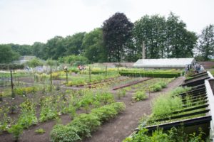 Moestuin Vollenhoven xkl