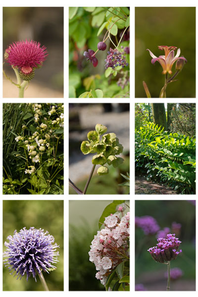 Moodboard-Blog-Hezingen Moodboard-Blog-Hezingen