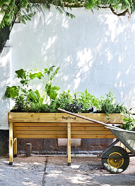 moestuin op tafelhoogte - Les Potagers de Thomas - kasje - tafelmoestuin