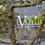 Restaurant voila groningen Restaurant voila groningen