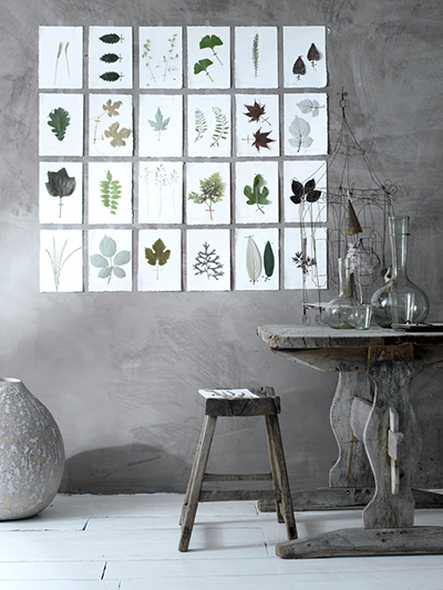 herbarium