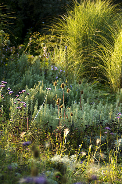 Sticky Wicket Garden - UK