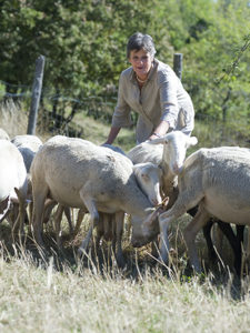 Vicky tussen de schapen