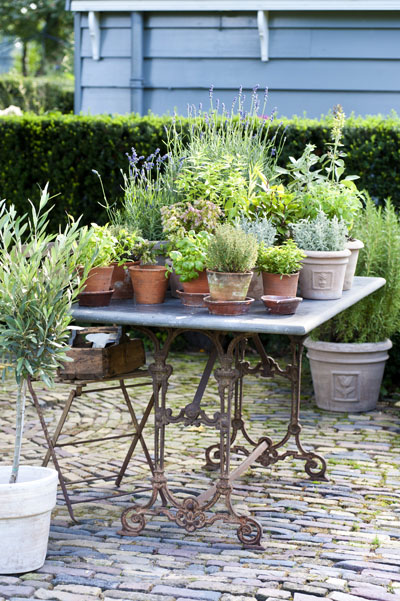 kruidentafel