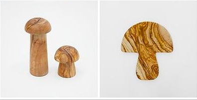 mushroom house of rym