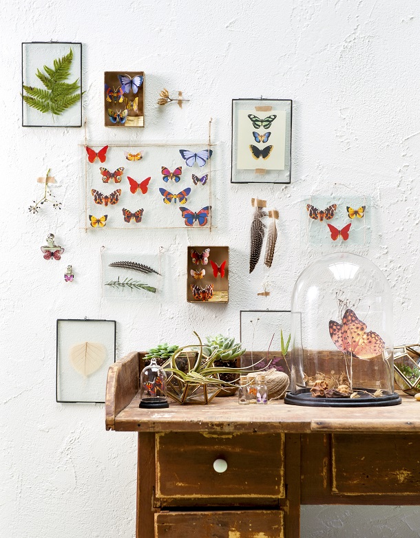 Seasons Insecten-019