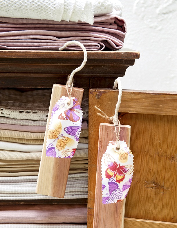 Seasons Insecten-063