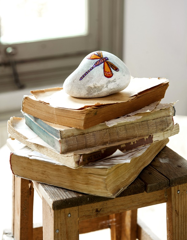 Seasons Insecten-159