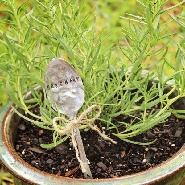 Spoon in pot