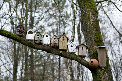 Vogelnestkastjes. Bird nest boxes. Vogelnestkastjes. Bird nest boxes.