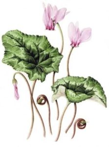 a855610a20f163676f5af987c2981f1d