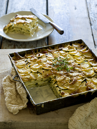 aardappelgratin dauphinoise met courgette met melk jersey koe aardappelgratin dauphinoise met courgette met melk jersey koe