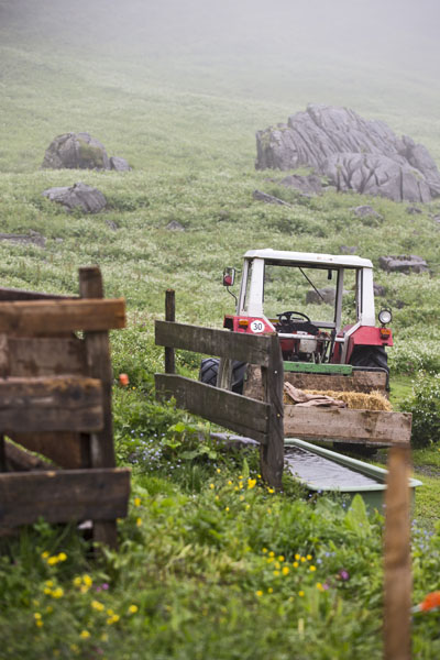 alp-snelcursus-boerin