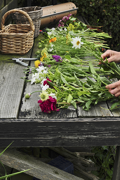 bloemen pluktuin