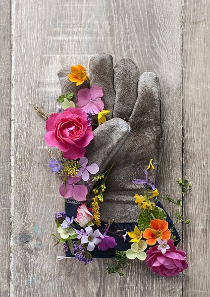 bloemen tuinhandschoen