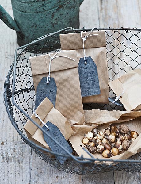 bollen planten