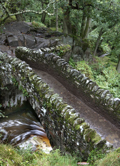 brug-steen-bomen-natuur