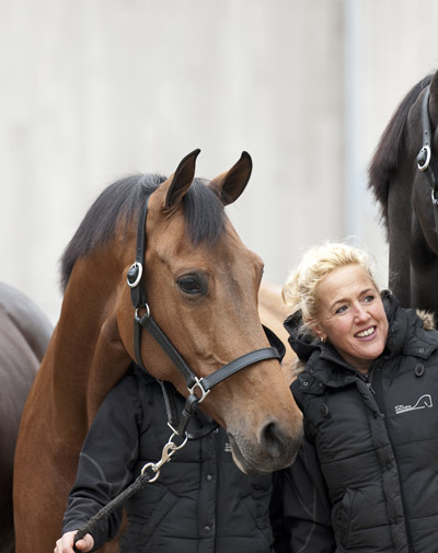 calanta-paard-blog