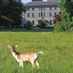 coopershill house ierland b&b seasons