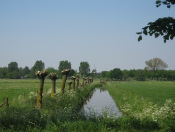 dreef-leur