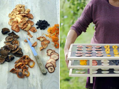 droogrek voor gedroogd fruit