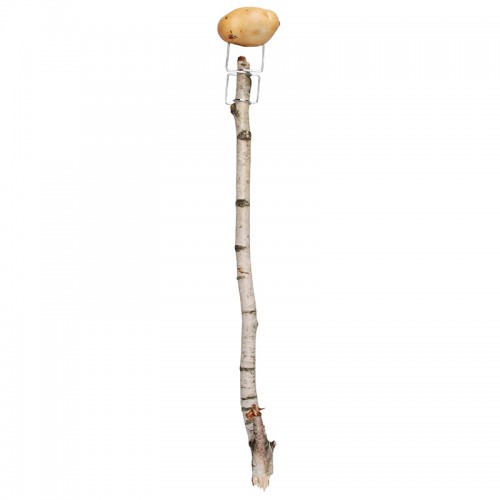 ff160_with_stick