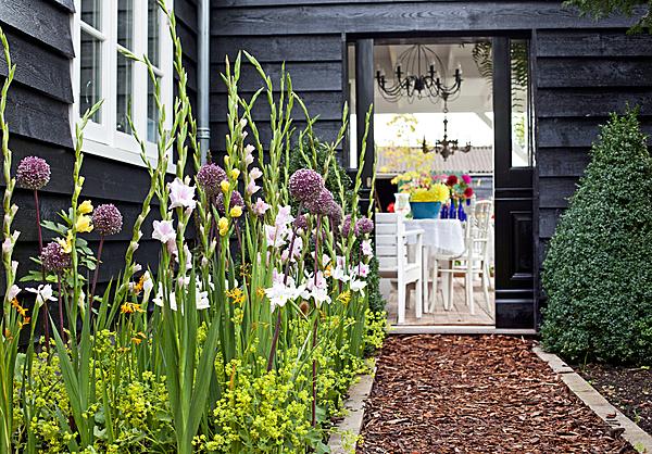 gladiolen tuin allium