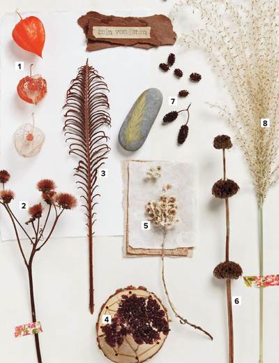 herfst-moodboard