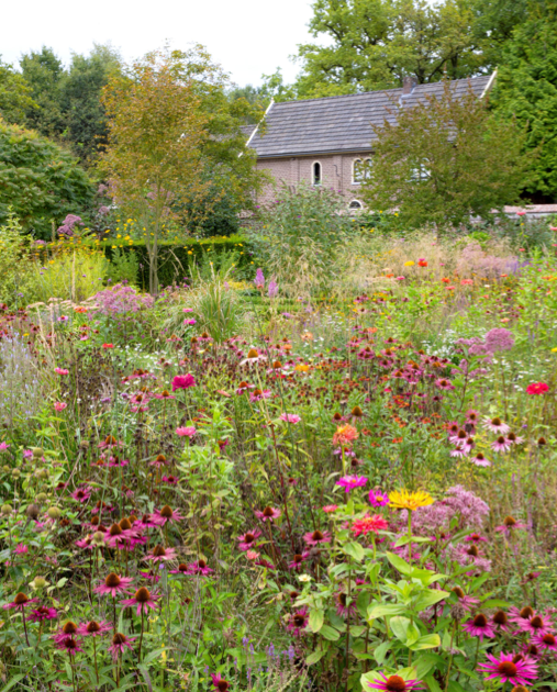 kasteel geldrop tuin