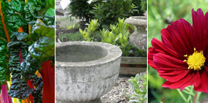 bloemen brocante