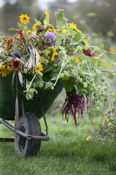 kruiwagen bloemen kruiwagen bloemen