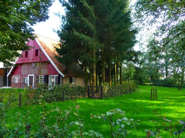 korenspieker boomgaard