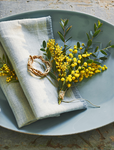 mimosa-op-tafel