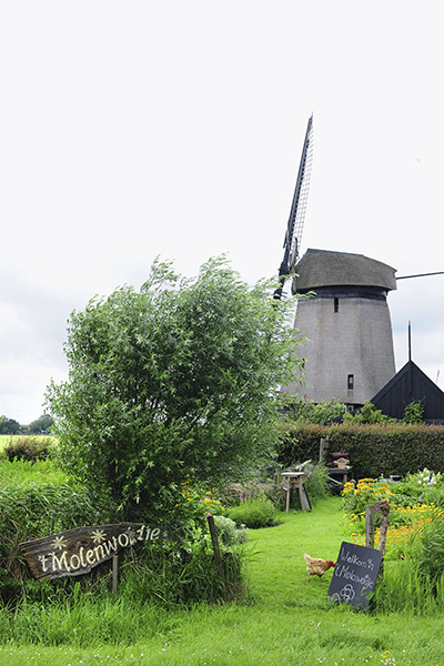 molen pluktuin