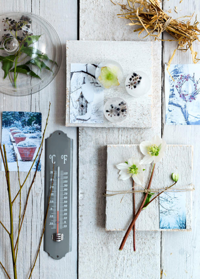 moodboard-Seasons-1-2015