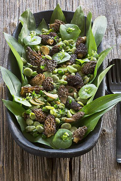 morieljes tuinbonen salade