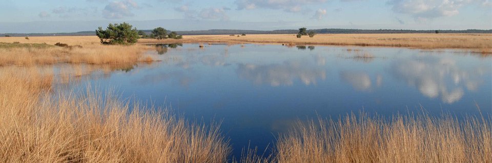word beschermer van de hoge veluwe