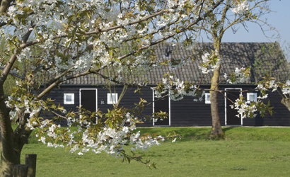 onder den peerenboom