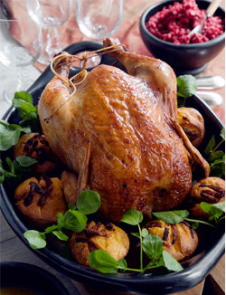 roastturkey