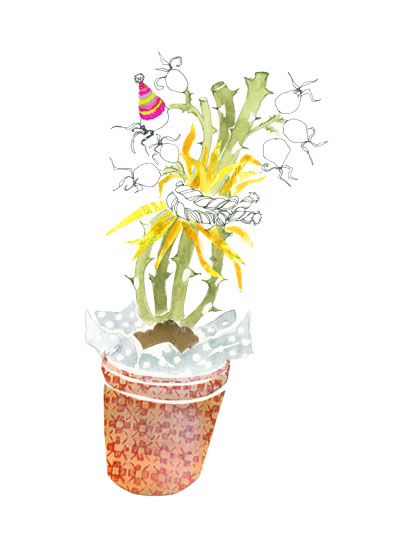 rozen-illustratie rozen-illustratie