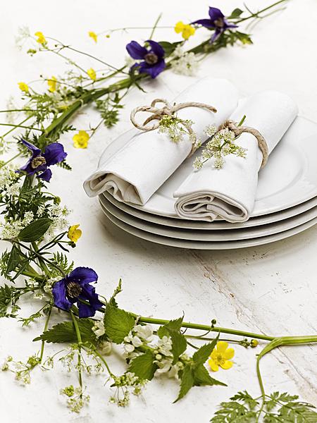 slinger voorjaarsbloemen