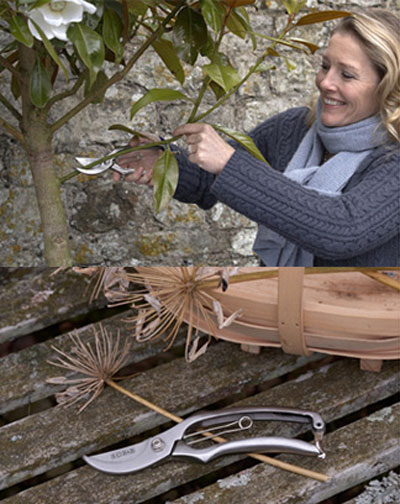 sophie conran snoeischaar sophie conran snoeischaar