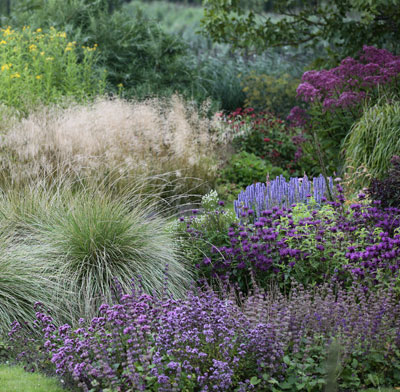 weeltje-tuin-planten weeltje-tuin-planten