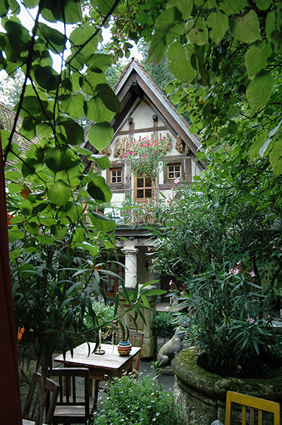 wijngaard logeren hotel terras wijngaard logeren hotel terras