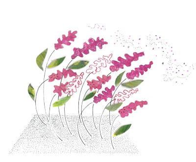 zaaien-illustratie zaaien-illustratie